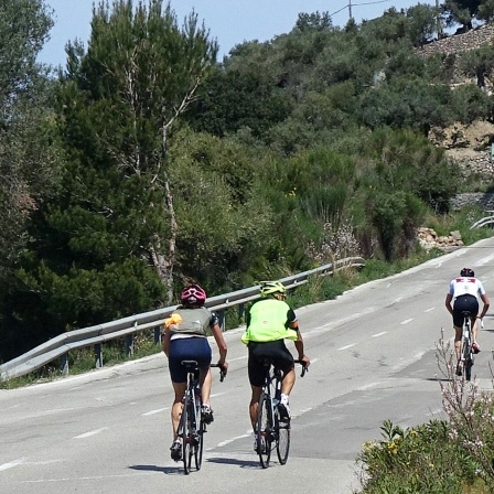 Radfahrer auf ihren Rennrädern auf einer Bergstraße bei Valldemossa auf Mallorca.