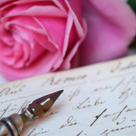 Auf einem alten aufgeschlagenen Buch stehen handschriftliche Notizen und ein Füller liegt darauf und im Hintergrund liegt eine Rose.