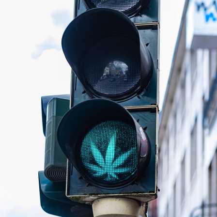 Eine Ampel zeigt ein grünes Cannabis Blatt in Aachen, Deutschland.
