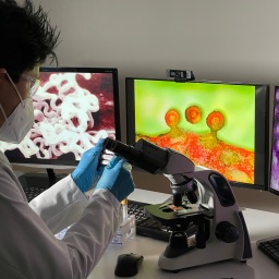 Ein Labortechniker bei der Computerrecherche zu HIV. 