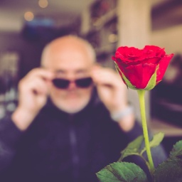 Rote Rose für einen Mann mit Sonnenbrille - im Restaurant.
