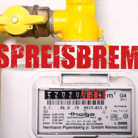 Illustration - Gaspreisbremse, Gaszähler