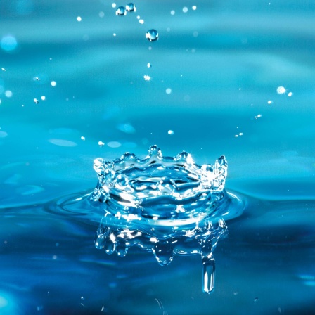 Nitrat und Trockenheit - Wie können wir das Trinkwasser schützen?