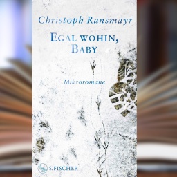 Buchcover: "Egal wohin, Baby" von Christoph Ransmayr