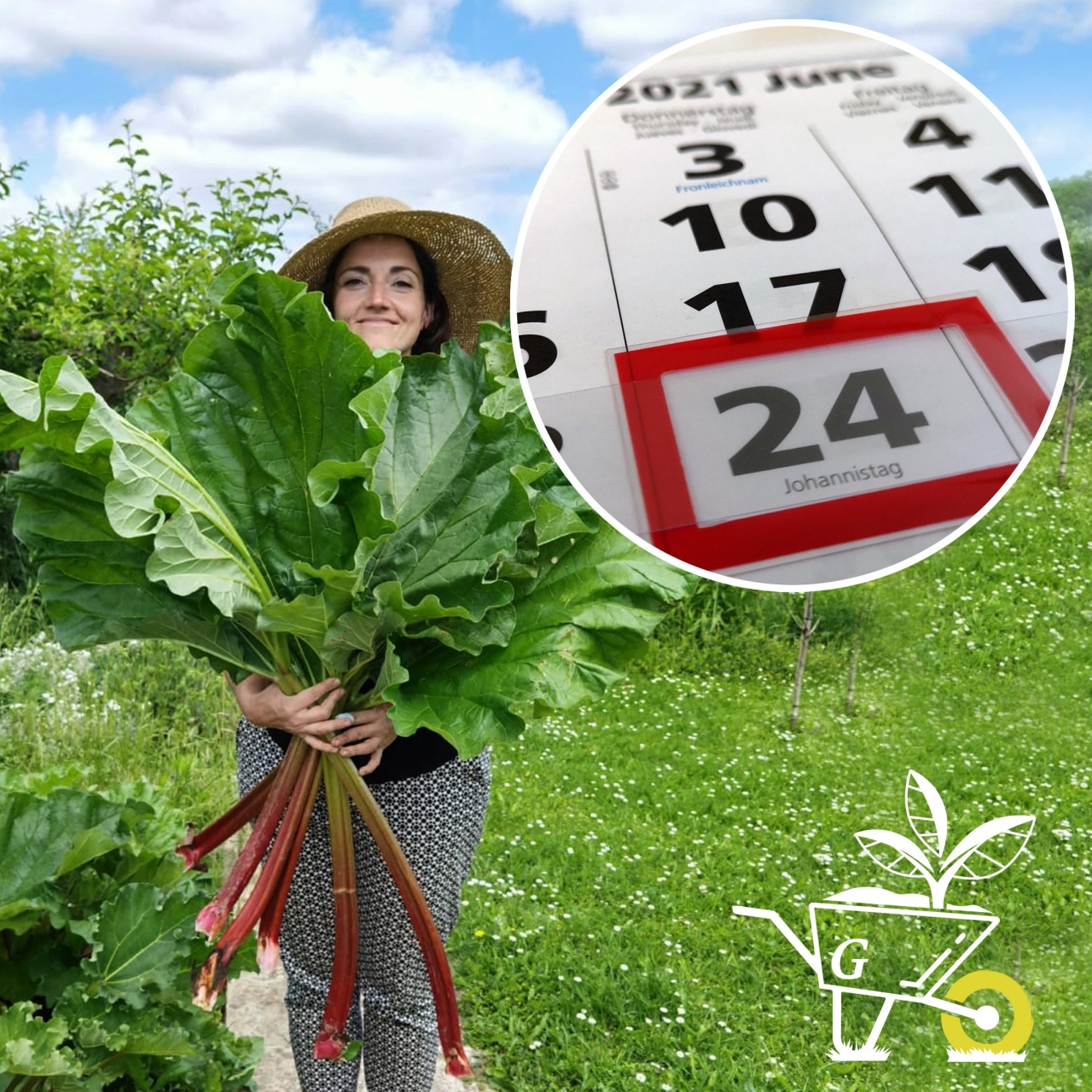Komm mit in den Garten der ARD GartenPodcast · 10 Was der