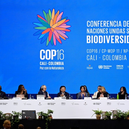 COP16