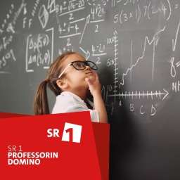 Professorin Domino