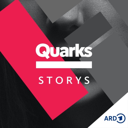 StoryQuarks erzählt Wissens-Geschichten