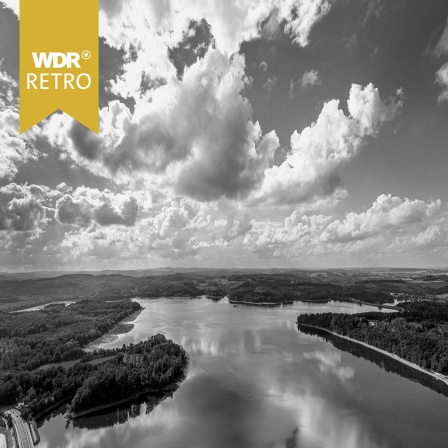 Luftbild vom Möhnesee