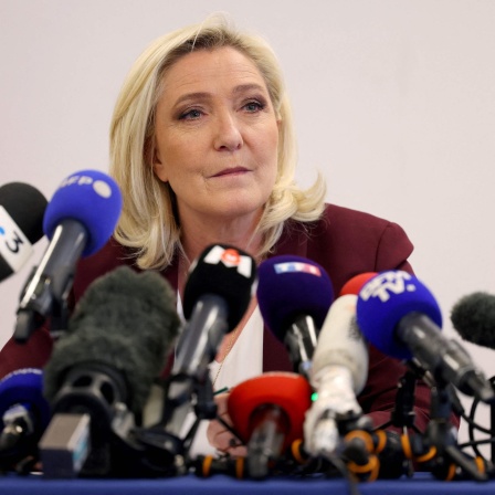 Marine Le Pen und ihr Rassemblement National gehen auf Distanz zur AfD. Wir sprechen über die Hintergründe.
