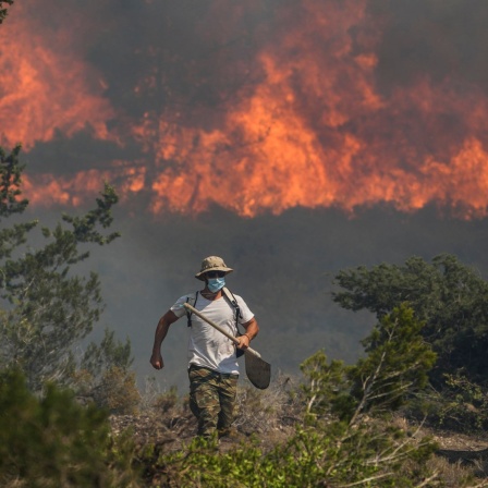 Nahe der Ortschaft Vati im Süden der Insel Rhodos steht der Wald in Flammen