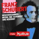 Franz Schubert | Herzenskammermusik: Wie Schubert uns berührt (20/21) © dpa/Fine Art Images/Heritage Images