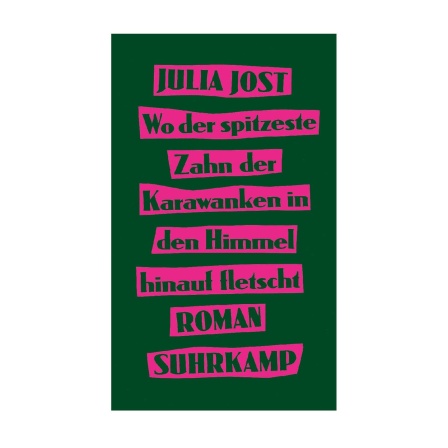 Cover des Buches Julia Jost: Wo der spitzeste Zahn der Karawanken in den Himmel hinauf fletscht