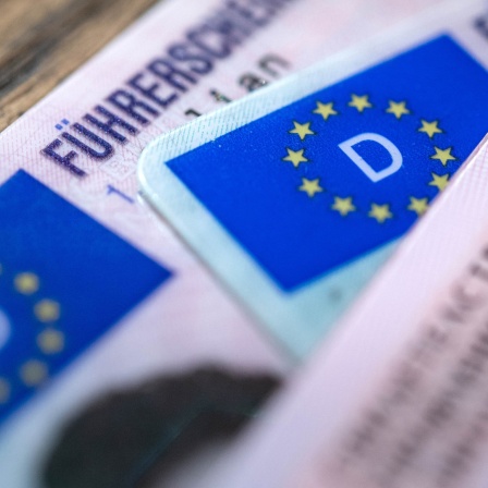 Mehrere Führerscheine liegen auf einem Tisch 