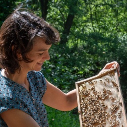 Bienen sind wichtig für die Biodiversität und die Ernährungssicherheit. Aber sie sind vom Aussterben bedroht. Darüber spricht die Bienenforscherin Kirsten Traynor in SWR1 Leute.