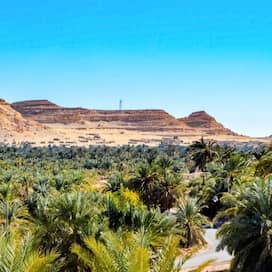 Blick auf die Oase Siwa in Ägypten (Foto: imago images / Wirestock)