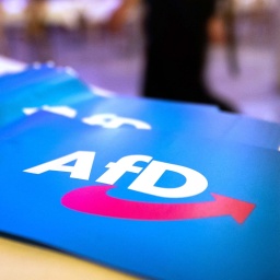 Symbolbild: Papierfahnen mit AfD-Logo liegen auf einem Tisch
