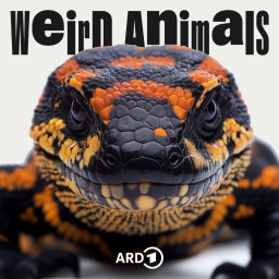 Cover Weird Animals Episode 17 Gila Krustenechse