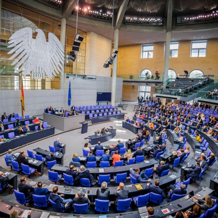 Deutscher Bundestag