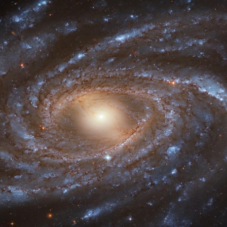 Im Kosmos gibt es offenbar viel Dunkle Materie und Dunkle Energie, die die Bewegung der Galaxien (hier NGC 2336) beeinflussen.