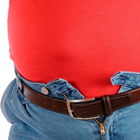 Ein dicker rotbetuchter Bauch quillt aus einer zu engen Jeans-Hose, deren Reißverschluss sich nicht mehr schließen lässt
