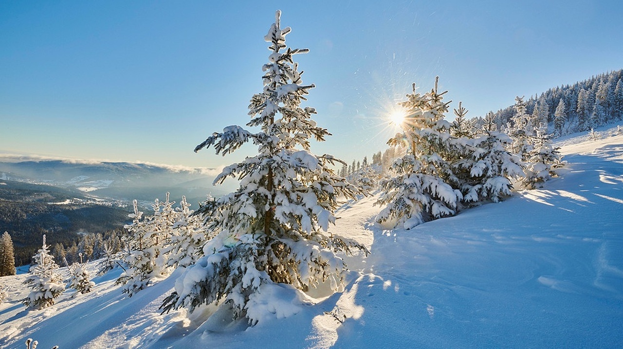 Der Winter im Bayerischen Wald