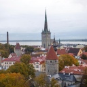 Blick auf die Altstadt von Tallinn mit der mittelalterlichen Stadtmauer und dem Turm der Olaikirche (M), aufgenommen vom Stenbock House.