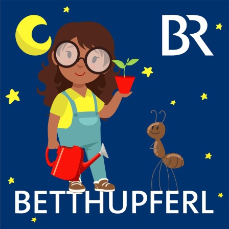 Frau Chapatis Zauberbrille, I (1/5): Jelda