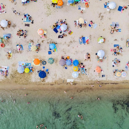 Covid-19 im Sommer - Kann das Virus verschwinden?