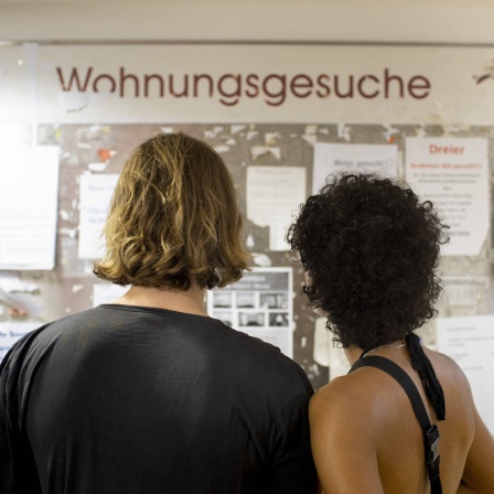 Wohnungssuche, Anzeigentafel an der Uni