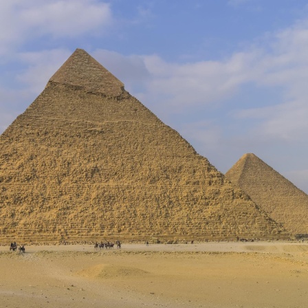 Neue Kammer der Cheops-Pyramide, Gedruckte Elektronik, Prähistorische Pfeil-und Bogen-Jagd