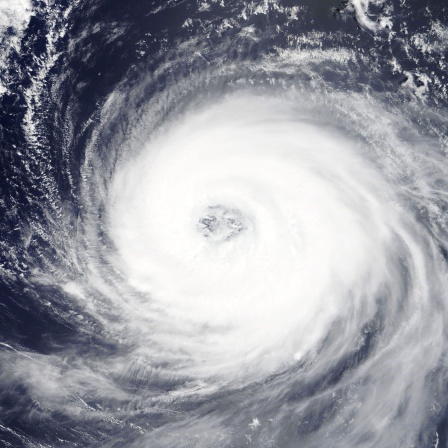Eine Satellitenaufnahme zeigt einen Taifun vor der japanischen Küste (Aufnahme vom 20.08.2018) 