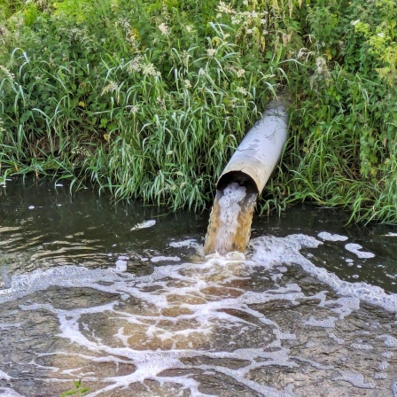 Unser Abwasser - Was macht es so wertvoll?