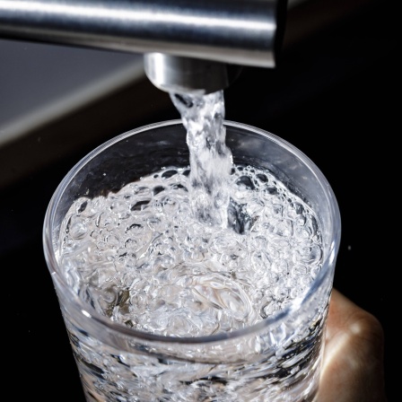Wasserglas