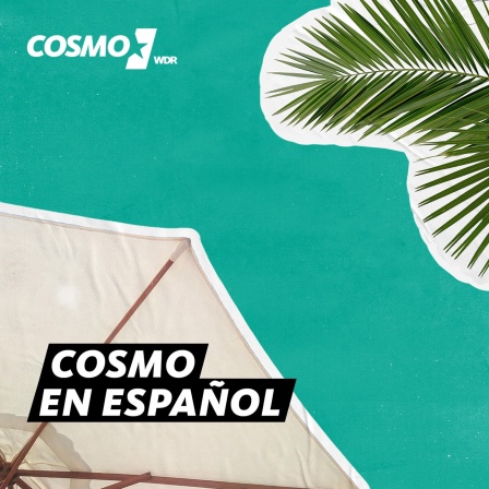 COSMO en español | Cover der Sendung. Grafik mit Palmen und einem Sonnenschirm