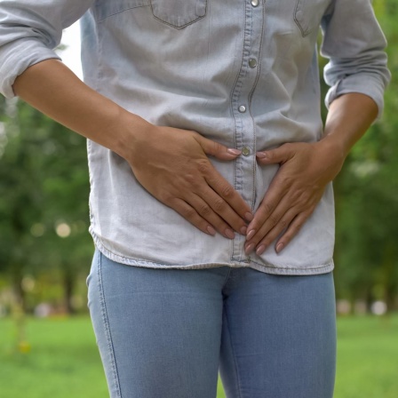 Laune der Evolution? Warum menstruieren Frauen?