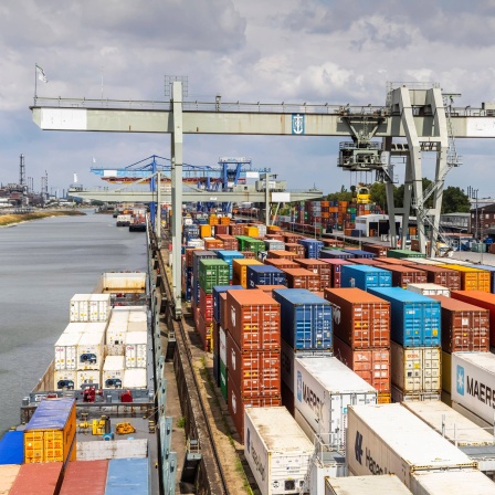 Container Terminal im Hafen Mannheim
