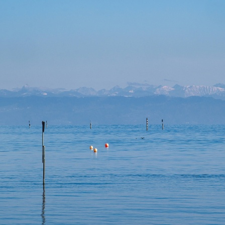 Bodensee