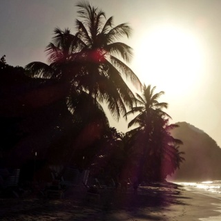 Ein Palmenstrand auf den Jungferninsel bei Abendstimmung - im Hintergrund ist im Gegenlicht der untergehenden Sonne ein dunkler Hügel zu erkennen
