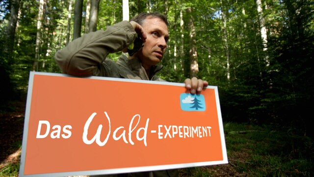 Das Wald-Experiment