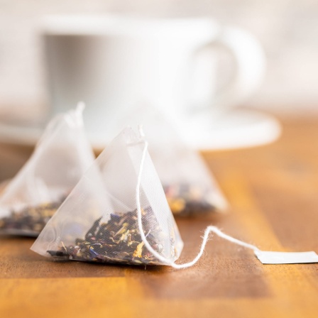 Alter Teebeutel aus Papier: Sind Teebeutel aus Kunststoff gesundheitlich bedenklich?