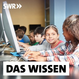 Kinder lernen im Informatik-Unterricht am Computer in der Grundschule: Ende 2022 forderten Bildungsexpert*innen, endlich Informatik an allen Schulen in Deutschland als Pflichtfach einzuführen. Im europäischen Vergleich liegt Deutschland weit zurück; in den meisten Bundesländern ist Informatik bisher lediglich Wahlpflichtfach. Das soll sich ändern.