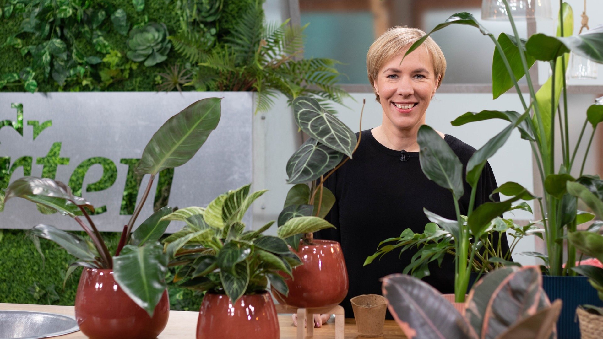 MDR Garten PflanzenExpertin Sonja Dümmen liebt ausgefallene
