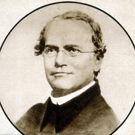 Gregor Mendel (1822 - 1884)