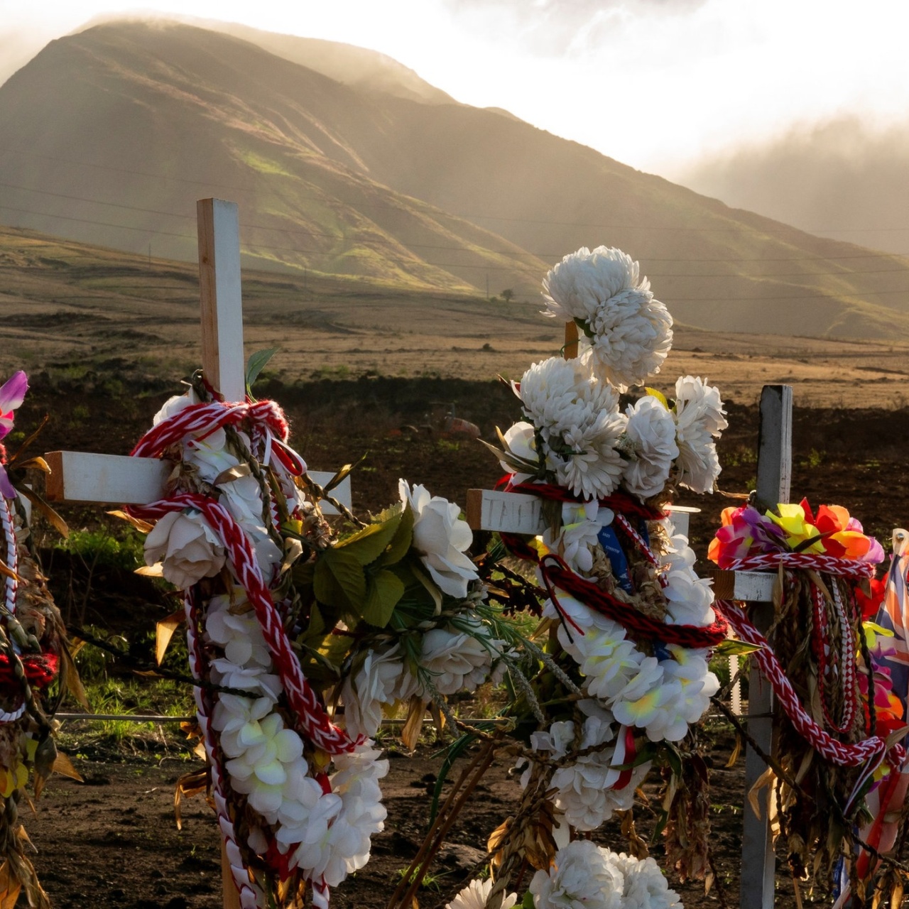 WDR 5 Neugier genügt das Feature