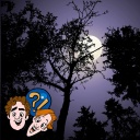 Schlafen Bäume und Pflanzen?