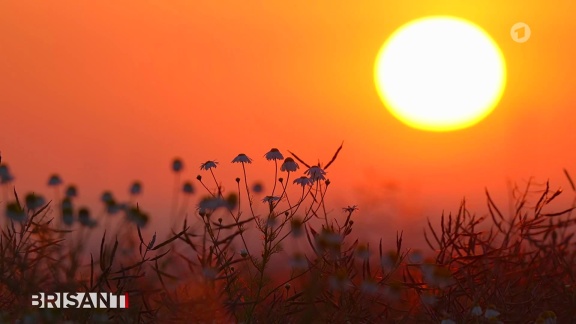 Brisant - Sommersonnenwende: Der Längste Tag Des Jahres