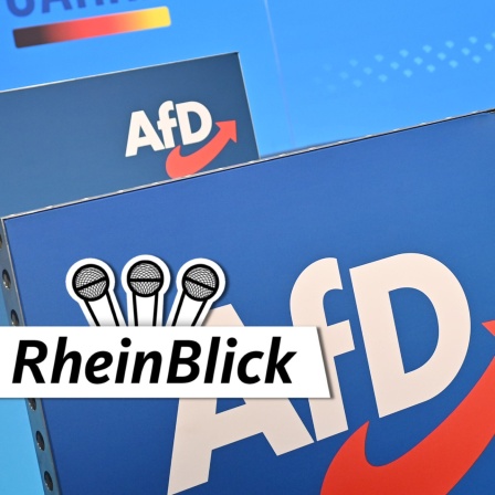 Logo der AfD auf dem Bundesparteitag in Magdeburg