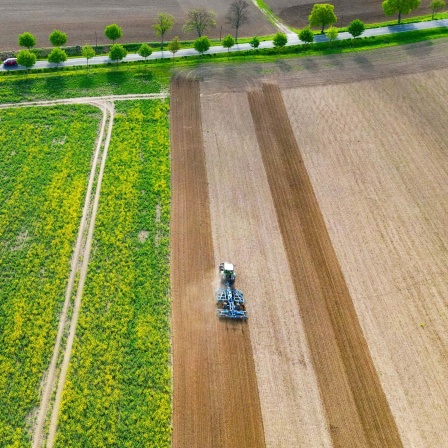 Luftaufnahme eines Traktors auf Ackerland in Brandenburg