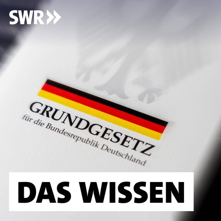 Das Grundgesetz der Bundesrepublik Deutschland (Buchausgabe): Menschenwürde, freie Entfaltung der Persönlichkeit, Gleichberechtigung, Religions- und Pressefreiheit: Diese Grundrechte garantiert der deutsche Staat seinen Bürgerinnen und Bürgern im Grundgesetz. Doch auch eine erfolgreiche Verfassung muss angepasst werden an gesellschaftliche und politische Veränderungen wie Klimawandel, Rechtspopulismus, Diversität und digitaler Kapitalismus.